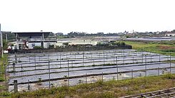 美濃都內｜開心農場｜有水有電｜種蔬果(2)