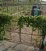 🌟專約好案精選🌟內埔黃金都計農地