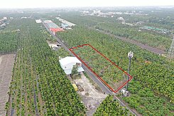 屏科大面寬農地