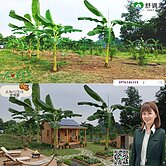 ♡眺望大武山自建優選農地