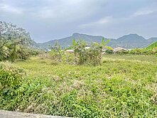 💥專約💥旗山糖廠旗山老街國道10終點交流道