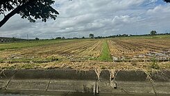 後壁區新港東約756坪特定農業區-H030