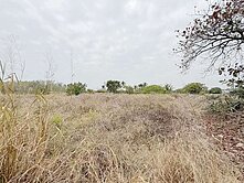 近岡山~阿蓮土庫大面寬好規劃方正美農地