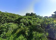 台鐵紅線徵收地