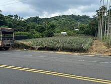 ❤️名間萬丹15米路一分農地