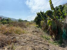 嘉華產業園區旁可休閒、投資、置產農地