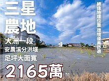 📣稀有釋出📣三星安農溪分洪堰足坪農地