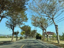 面寬32米雙面臨路~美濃中正路旁美農地