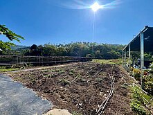 市場獨家｜南投名間萬丹路924坪農地.合法資材室