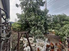 大寮鳳林一路超值農地