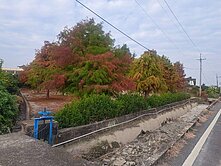 "專任"資產配置首選草屯大面寬低總價荔枝園