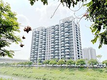 達麗 漾CITY☘️陽台進出 正三房B1平車