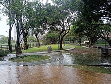 龍岡平房-享受田園生活 鬧中取靜(無保登.有稅籍)