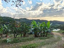 林口便宜都計內農地