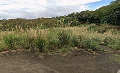 🩵😎  淡水美麗農地創造開心農場  😎🩵