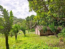 專任三灣🚙臨路建地送古厝🏚️持分大丙建+農地