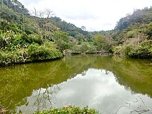 專任🔥苗栗三灣大坪林Ｄ🐟持分池塘林地