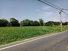 觀音市區770坪農地