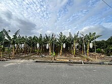 ｜大寮會結都計內農地｜大地坪附電表