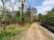 萬巒領補助森林系芬多精種木農地