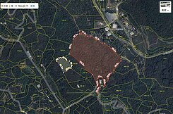 樂福集團獨家✨南投中寮龍眼林段山坡地