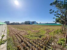 專任🌿 后里近中科都計內方正美農地｜置產投資