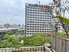 熱門💖敦南樹海電梯採光鼎佳4房