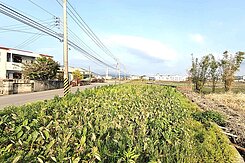 大降價！正土城路91米大面寬農地★決心要賣！