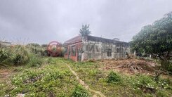 大溪員林路祕境落雨松公園大地坪農舍