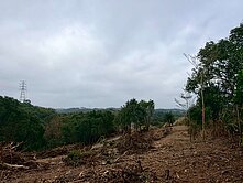 青山段大湖路-琉森莊園休閒農牧用地