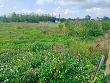 平鎮區近66快速道路面龍潭交流道,小坪數美田
