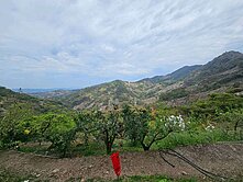 專任｜軟埤坑休閒農業區｜買地送屋