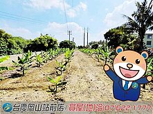  路竹#社東#休閒農地