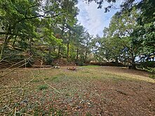 東勢｜軟埤坑休閒農業區｜大茅埔甜柿園