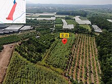 玉井2796坪一般農業區 農牧用地