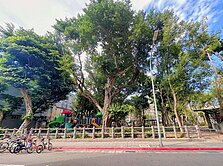 🏆儀居團隊🏆F5民生社區稀有採光雅寓