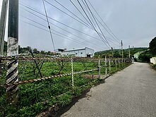 台中后里馬場園區★臨路超俗美農地-台慶太平