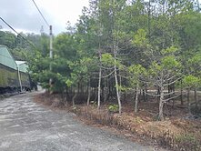 日月潭旁風光名湄平坦農地