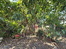 嘉義太保市商業區建地(專) 幸福買賣