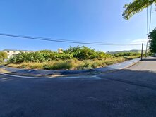 埔心鄉雙面臨路大坪數優質農地出售