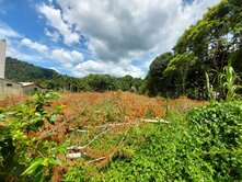 魚池鄉文化巷路旁大面寬優質農地出售價格可談