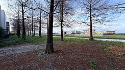 薛至凱~🔥邊間別墅🔥直接入住五結寬院子