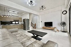 (曉曄)仁雄商圈赤勇路三角窗面寬5.5米併排雙車墅