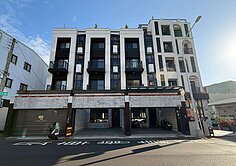 臨路大面寬電梯雙車別墅