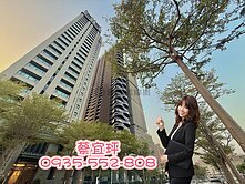 華人匯|農十六|次高樓層無敵景觀|毛胚四房雙平車