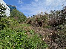 🎖️黃寶寶推薦🎖️大埔重臨路方正美建地｜住1