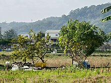 ⭐️住商小民⭐近公館交流道大面寬都計農
