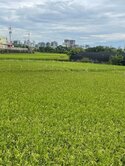 中清交流道旁豆腐地形農地｜物流車隊基地首選