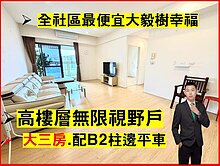 專任🍎大毅樹幸福｜社區最便宜｜大三房平車