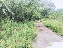 白河交流道1.1甲虎山有農路農地-B005